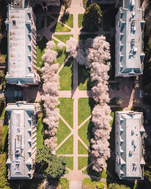 Aerial Shot Of Buildings