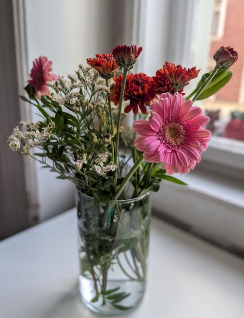 Free Colorful bouquet of gerbera daisies and chrysanthemums in a glass vase by a window. Stock Photo
