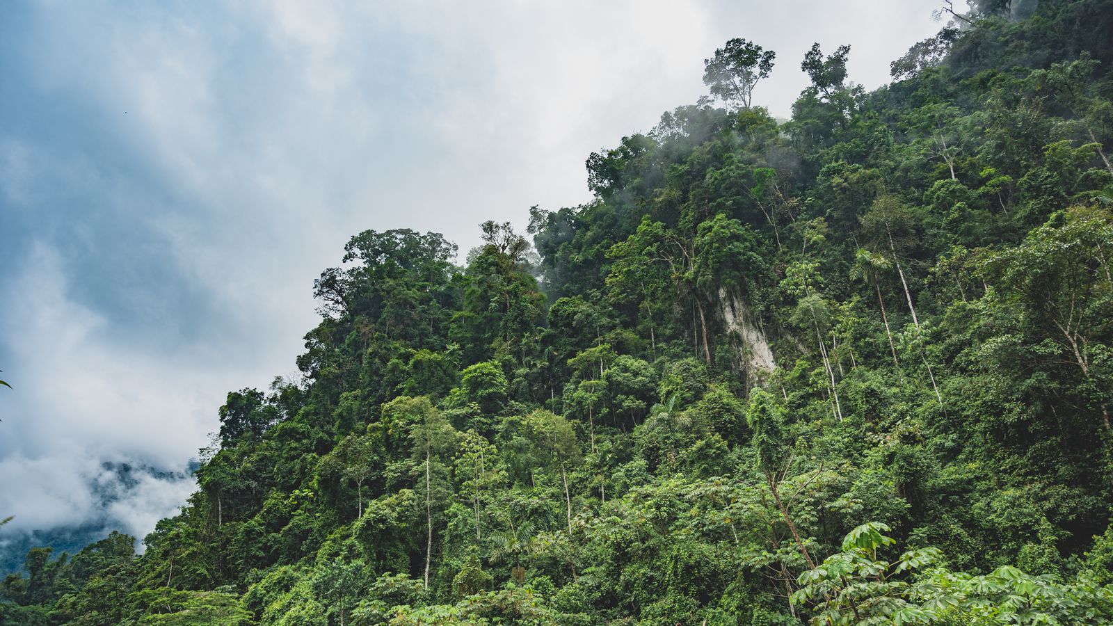 Green trees under white clouds, Ghana