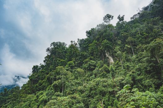 Mt Kinabalu summit climb (2 days) — Borneo
