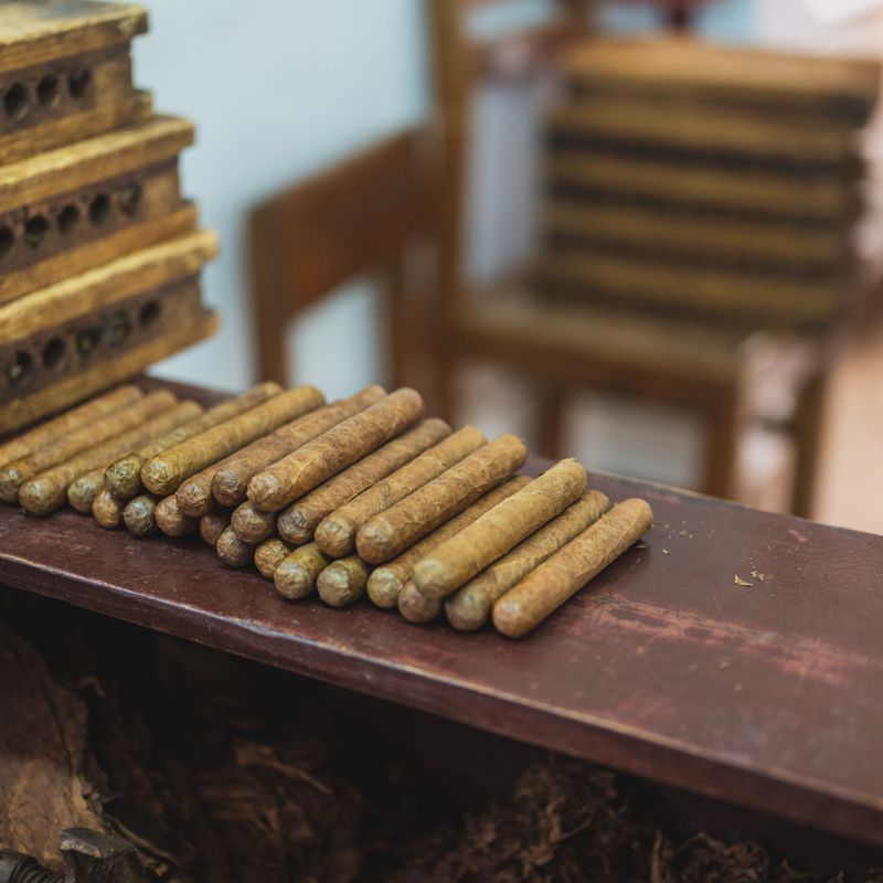Moroccan Apricot and Pistachio Cigars