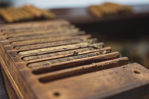 Free From above closeup of wooden box with narrow rectangular sections with ribbed surface for cigars near table with pile of raw tobacco products in factory Stock Photo
