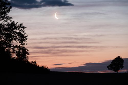 Free Peaceful evening landscape featuring a crescent moon against a pastel sky, silhouetted by trees. Stock Photo