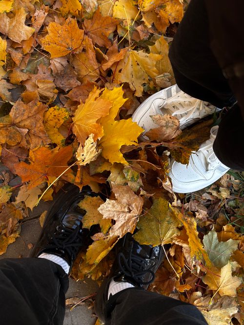 Free Capture the essence of autumn with colorful leaves and stylish shoes on a serene day. Stock Photo