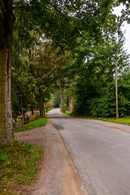 Free A peaceful, tree-lined road in Coesfeld, Germany, perfect for a tranquil walk in nature. Stock Photo