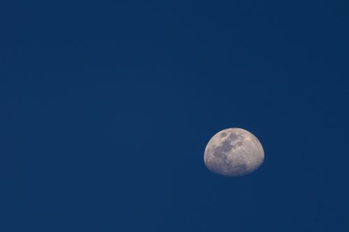Free A tranquil view of the moon against a clear twilight sky, capturing a sense of peace. Stock Photo