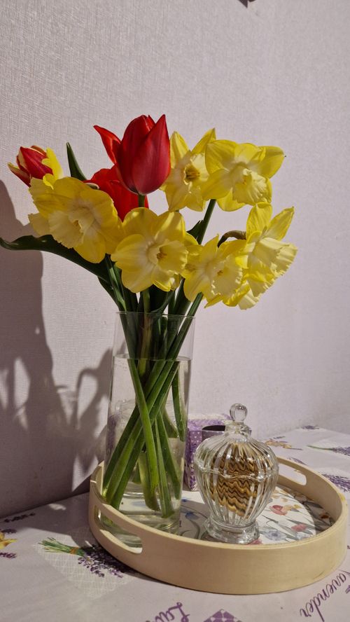 Free Vibrant yellow daffodils and red tulips in a glass vase, captured indoors. Stock Photo