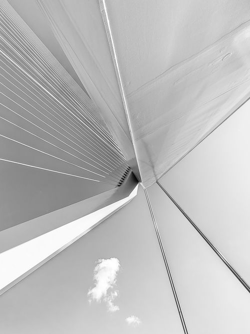 Free Black and white abstract view of the Erasmus Bridge in Rotterdam from below. Stock Photo