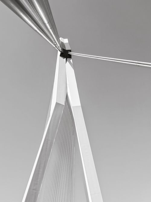 Free Black and white view of Erasmus Bridge in Rotterdam, emphasizing modern design and geometry. Stock Photo