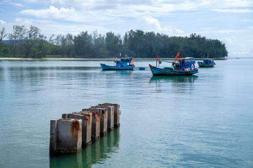 Free Colorful fishing boats anchored on a serene coastal waterway with lush greenery in the background. Stock Photo