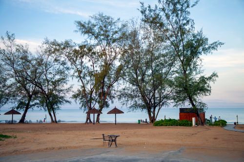 Free A peaceful beach scene with trees, chairs, and a calm ocean at twilight. Stock Photo