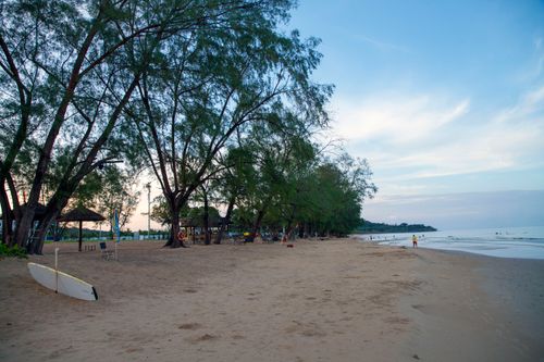 Free Quiet beach scene with trees, surfboard, and distant ocean at sunset. Stock Photo
