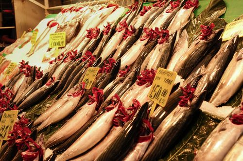 Free Vibrant array of fresh fish on ice at Istanbul market, showcasing local seafood. Stock Photo