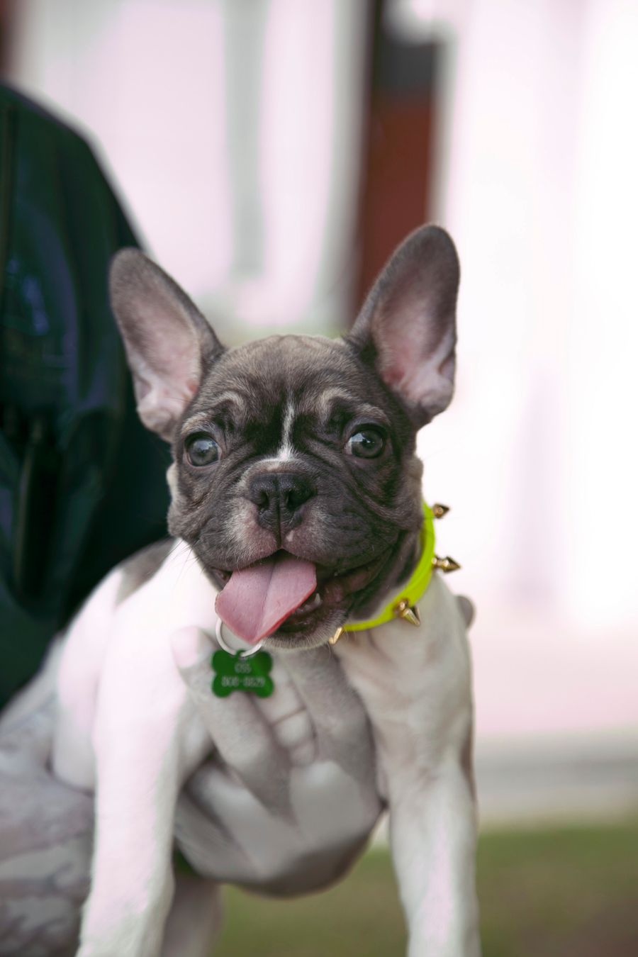 Milo