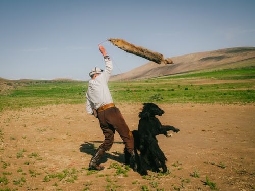 Free A man trains a hunting dog with a lure in the vast landscapes of Kyrgyzstan. Stock Photo