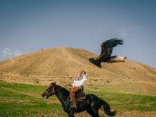 Free Kyrgyz eagle hunter on horseback releases eagle in the scenic mountains. Stock Photo