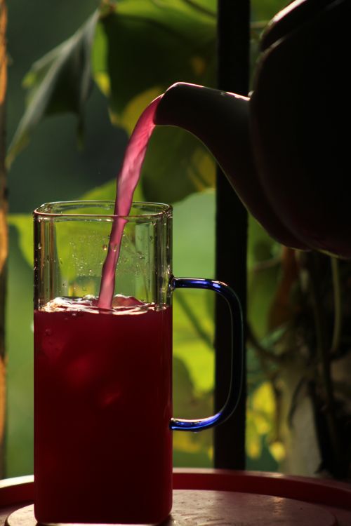 Free Close-up of berry juice being poured into a glass by a window with green foliage. Stock Photo