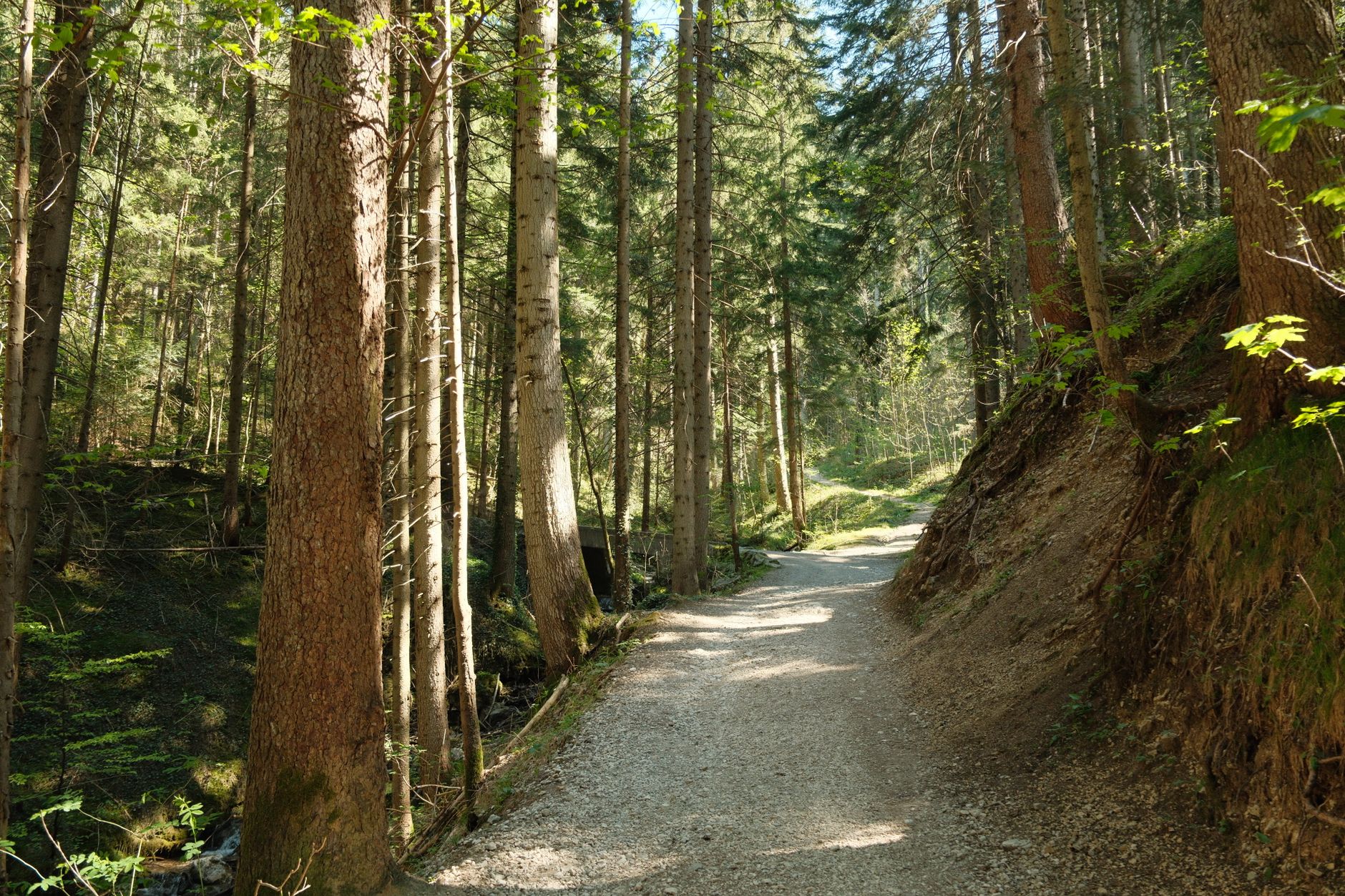 Garmisch-Partenkirchen — Food, Garmisch-Partenkirchen