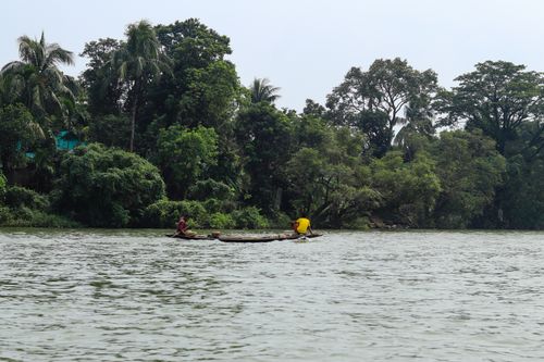 Free Peaceful boat ride along a lush tropical river with dense green foliage. Stock Photo