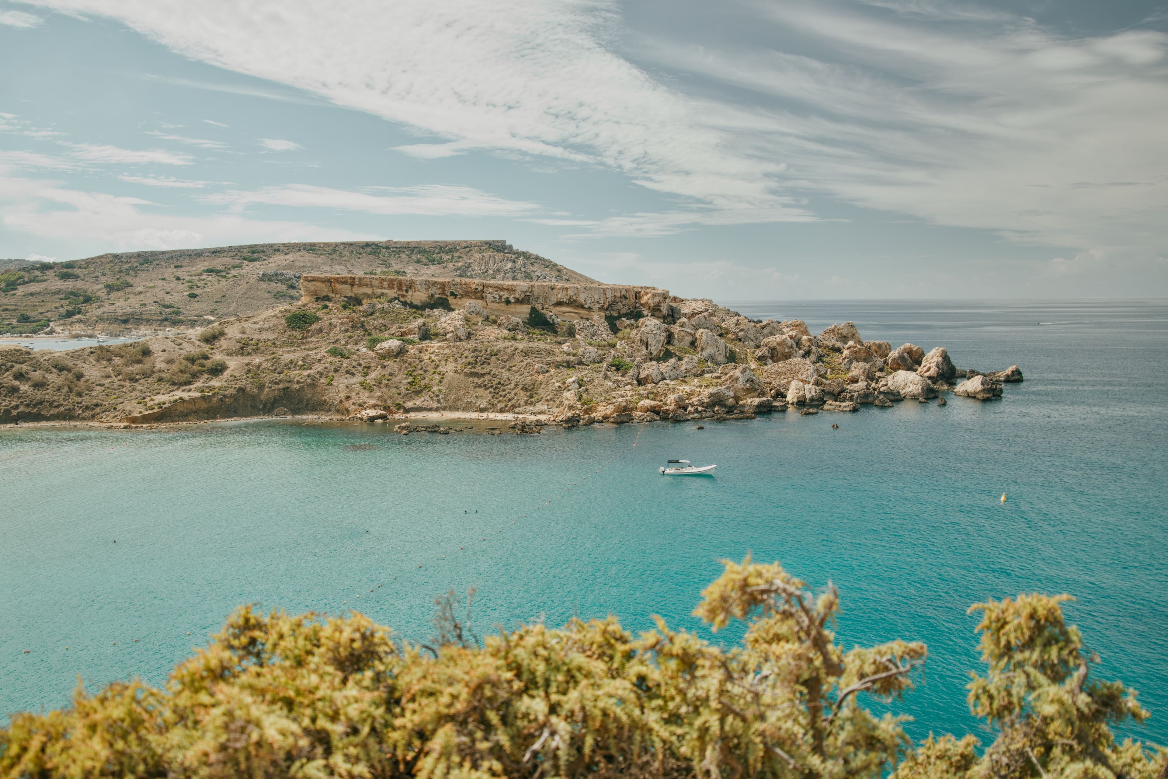Wildflowers of Malta: Spring Blooms Guide