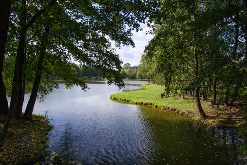 Free Peaceful lake surrounded by lush green trees in a tranquil forest setting. Stock Photo