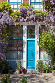 A beautiful entrance with a blue door and fragrant wisteria blooms under the sun.