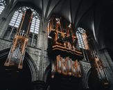 Brown Organ