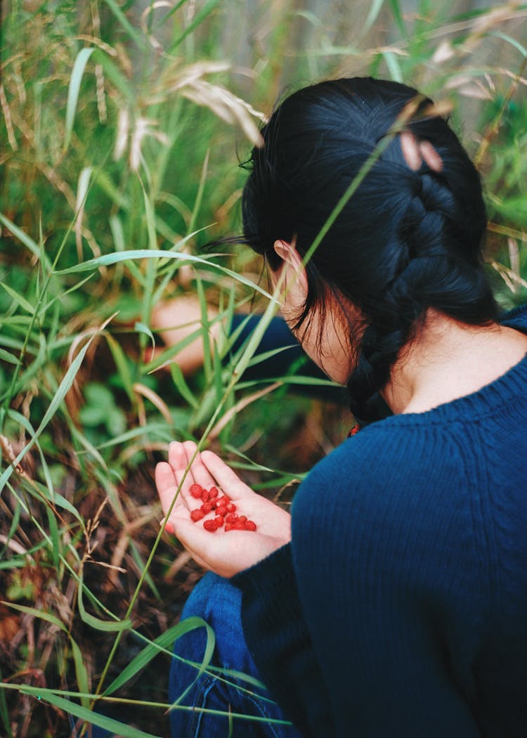 Person Picking Berries