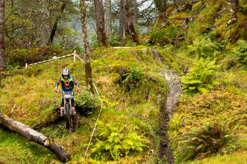 Free Mountain biker skillfully maneuvers through rugged forest trail during a competitive event. Stock Photo