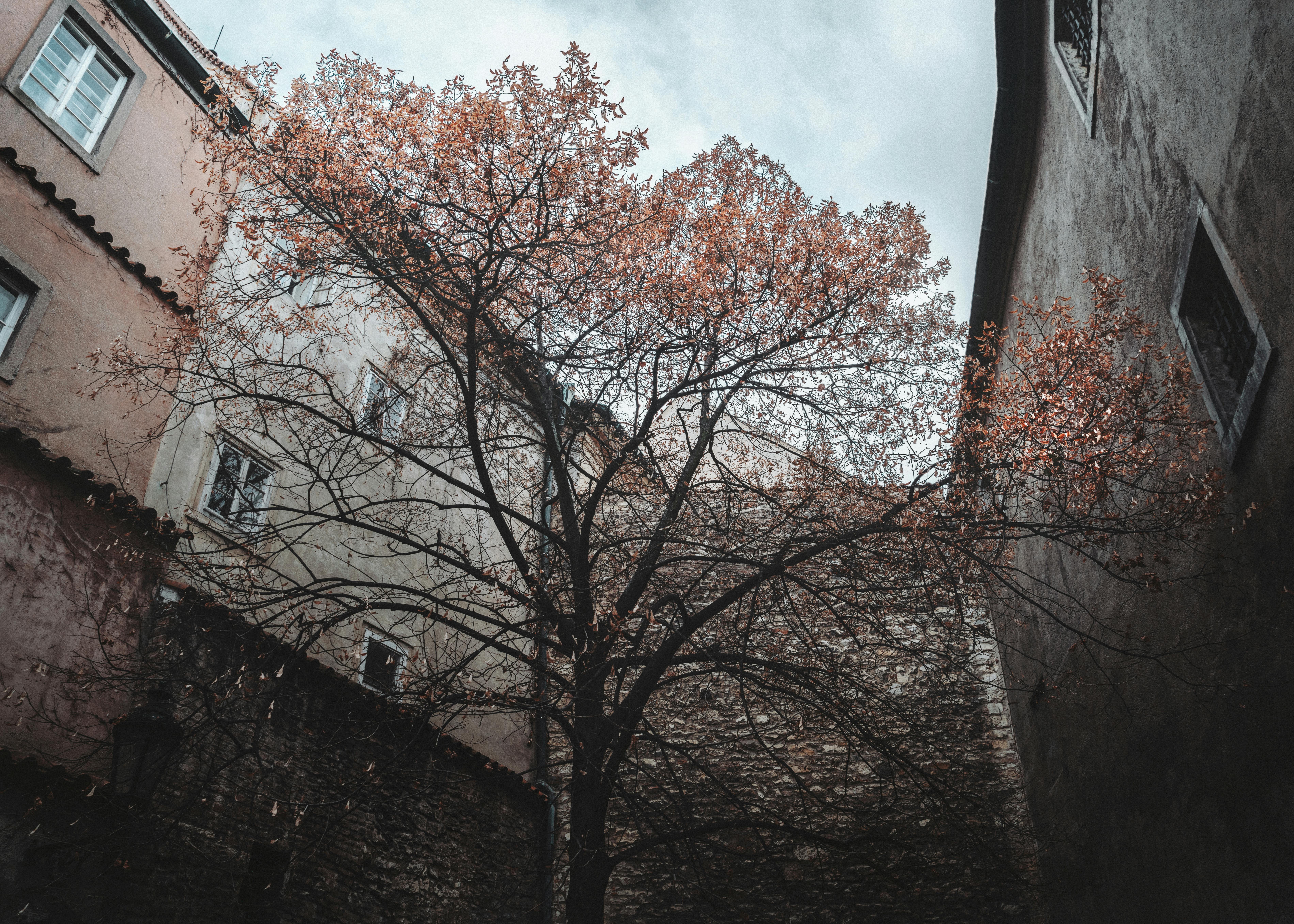 Marketing and Resilience