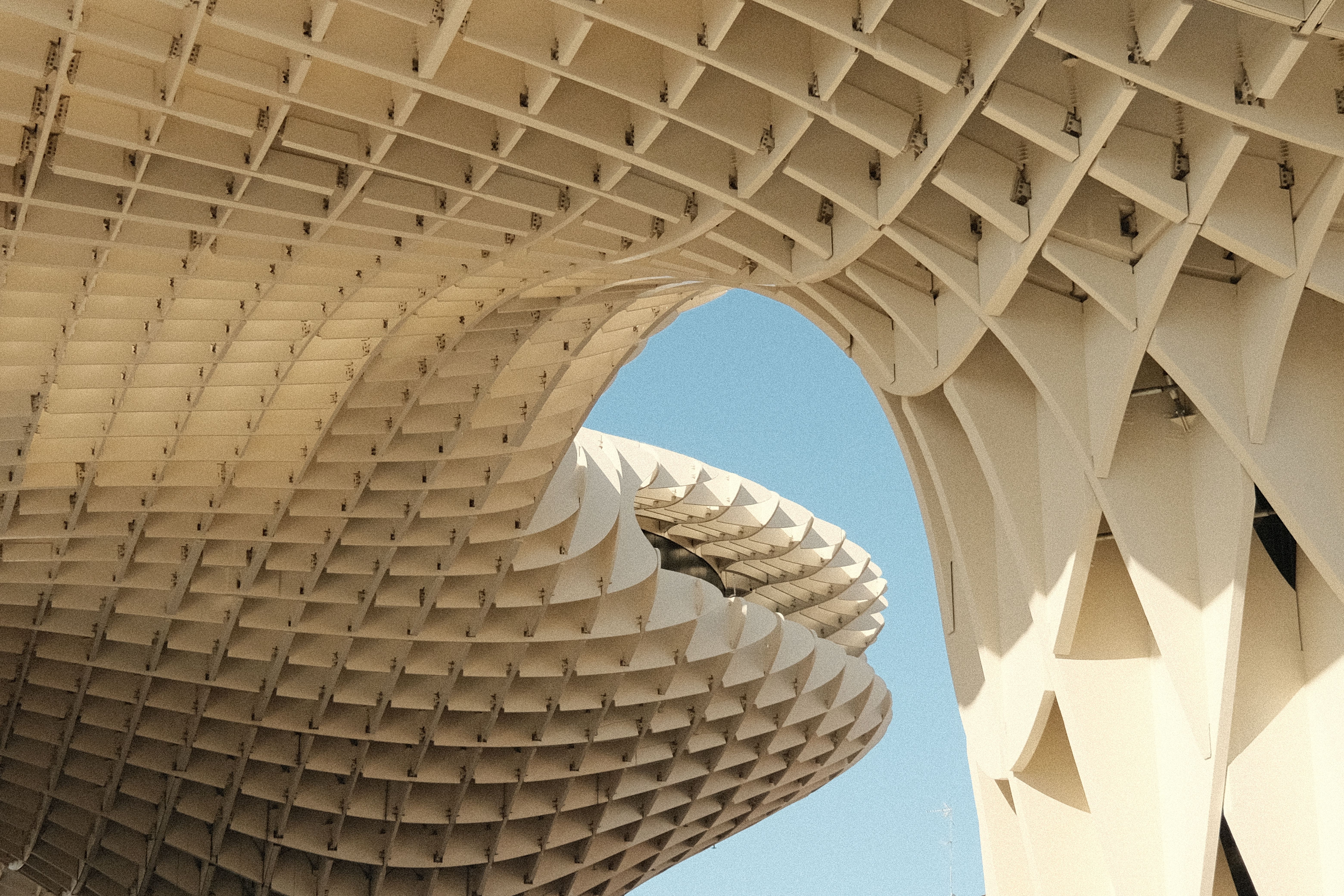 Instalación de pérgolas y estructuras de sombra