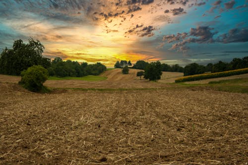 Free Field Under Cloudy Sky Stock Photo