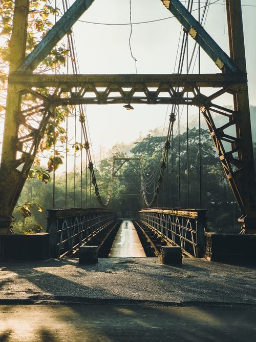 Free An old iron suspension bridge illuminated by sunlight amidst dense green foliage, exuding a serene and adventurous vibe. Stock Photo