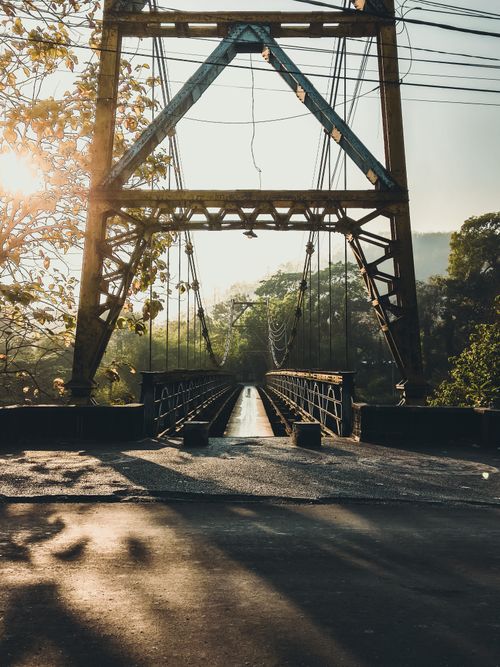 Free A sunlit suspension bridge in a green forest with warm evening light casting long shadows. Stock Photo