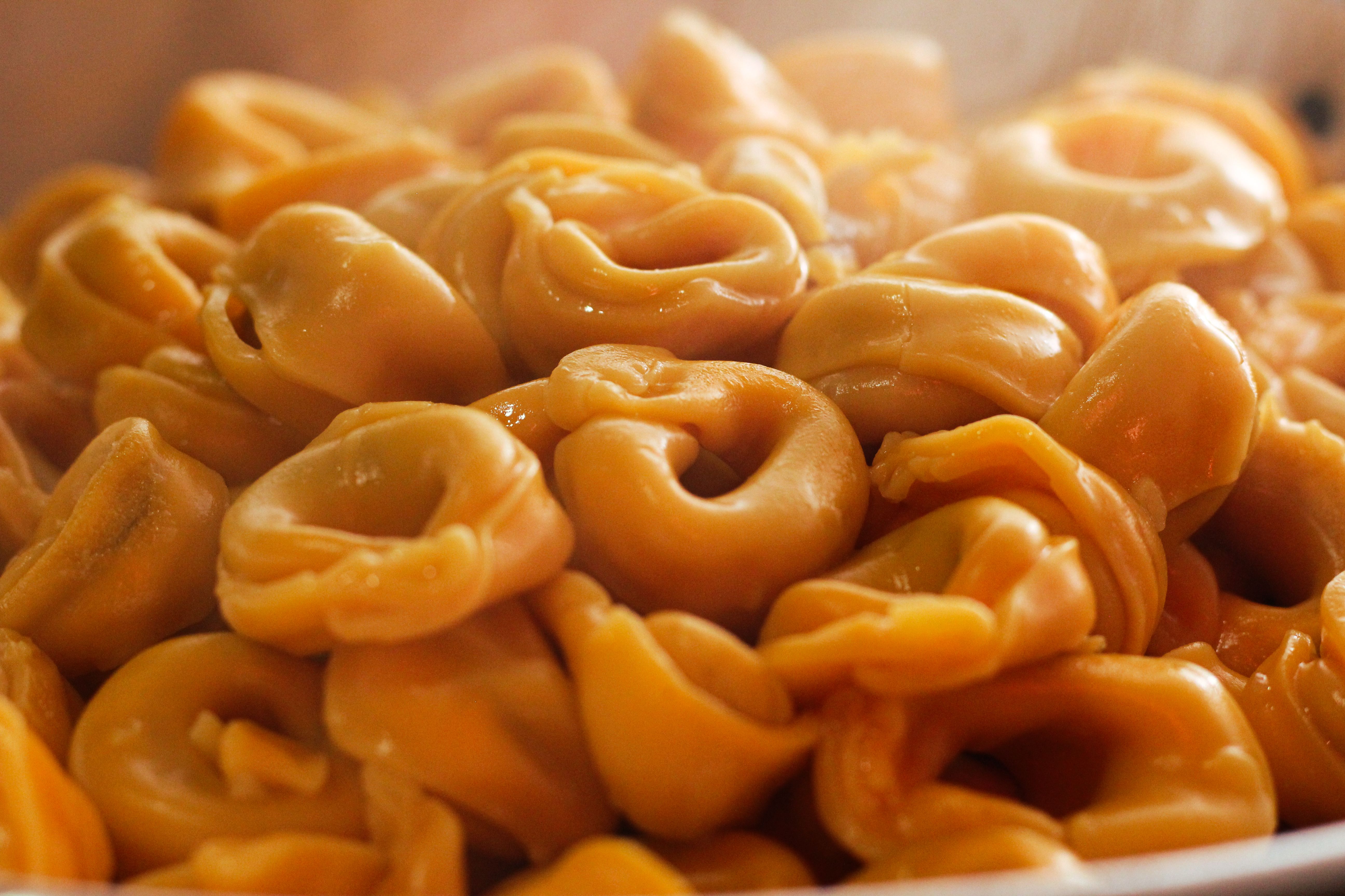 A warm and delicious serving of freshly cooked tortellini pasta, perfect for Italian cuisine enthusiasts.
