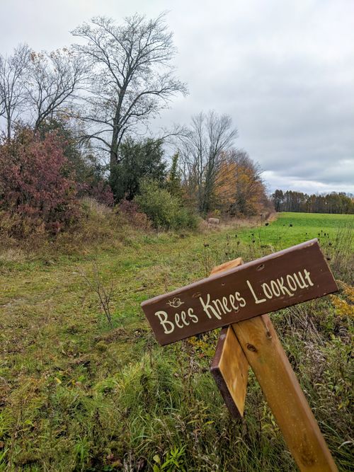Free stock photo of adventure, farm, gloomy Stock Photo