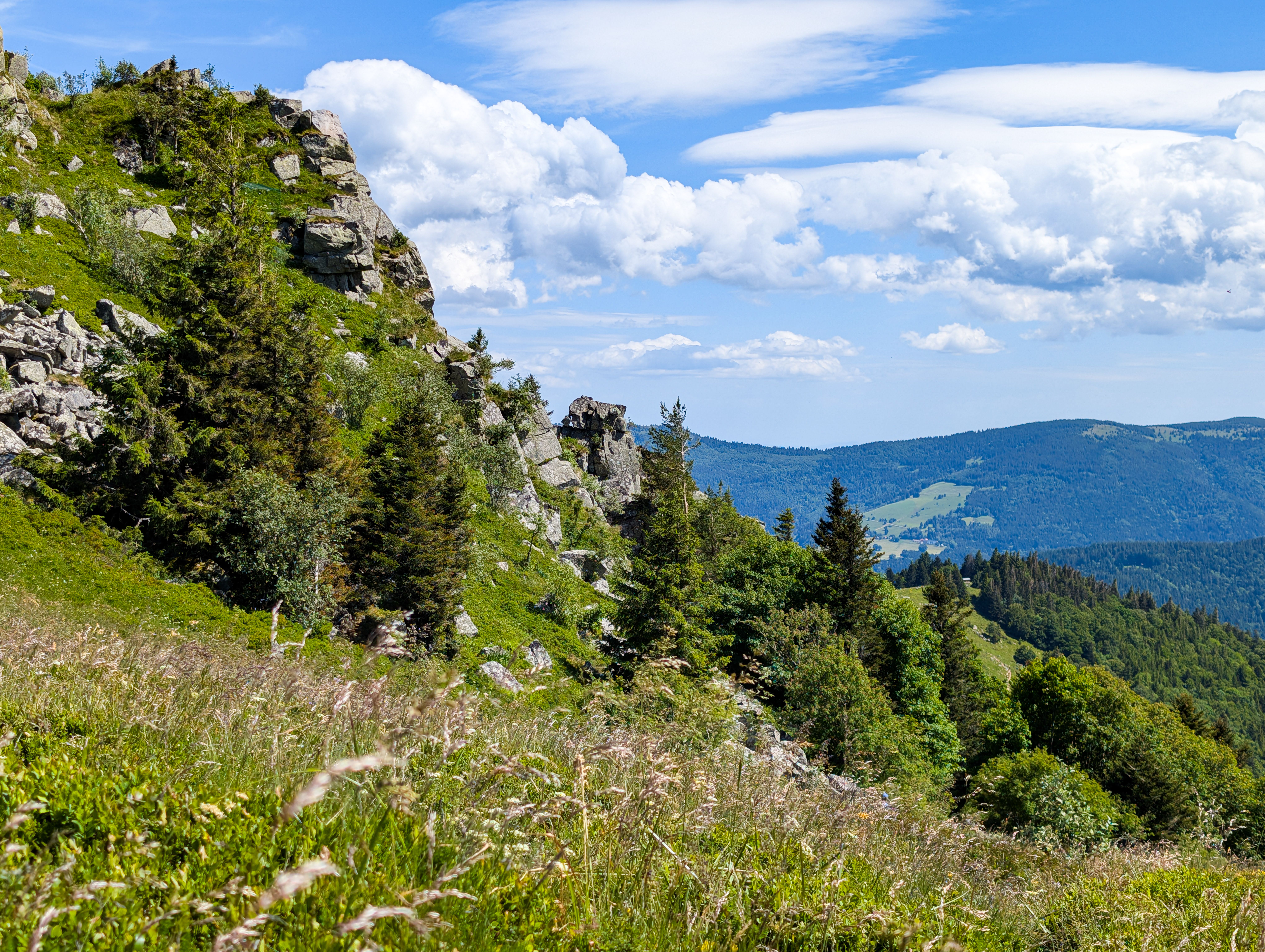 Fotomural Explora la exuberante vegetación y los acantilados rocosos de las montañas de los Vosgos en Grand Est, Francia, bajo un brillante cielo de verano.
