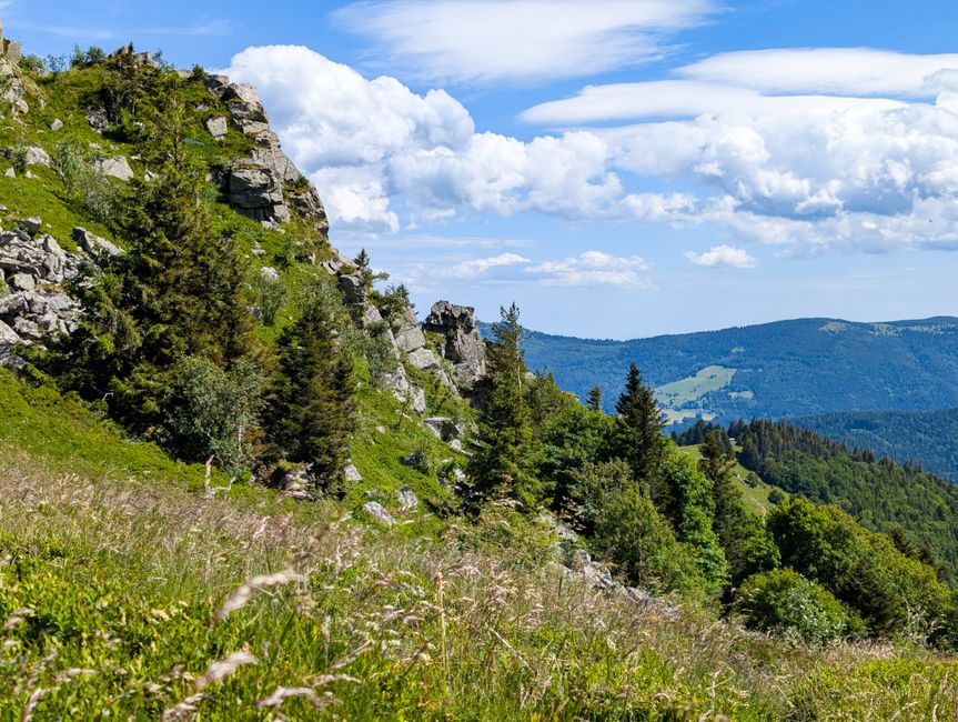 Fotomural Explora la exuberante vegetación y los acantilados rocosos de las montañas de los Vosgos en Grand Est, Francia, bajo un brillante cielo de verano.