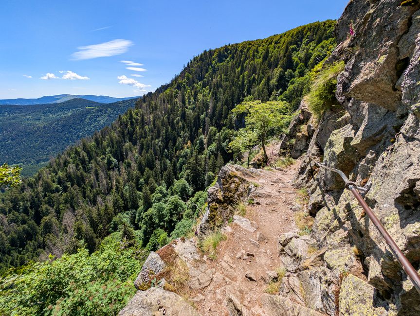 Fotomural Impresionantes vistas de un escarpado sendero de montaña en los Vosgos, Francia, perfecto para aventuras de senderismo en verano.