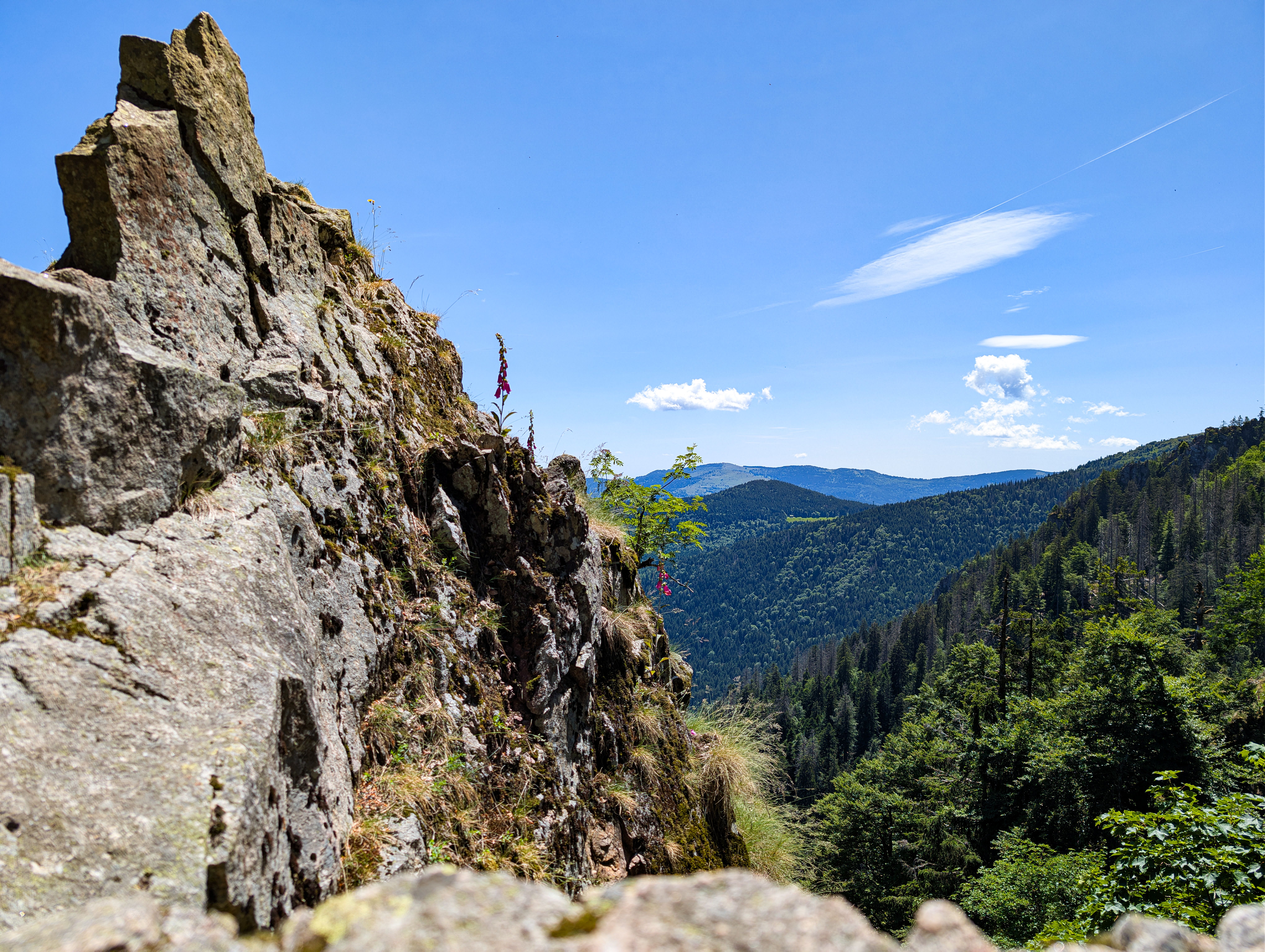 Fotomural Impresionante paisaje de las montañas de los Vosgos en verano, con sus acantilados rocosos y frondosos bosques.