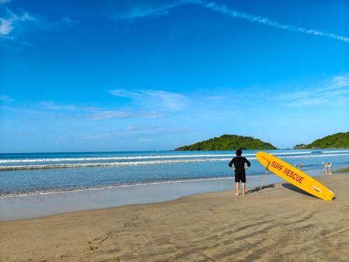 Free Lifeguard standing on a sunny beach with a yellow surf rescue board, overlooking the ocean. Stock Photo
