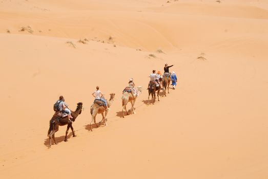 A group of tourists rides camels across the stunning Sahara desert under the midday sun.