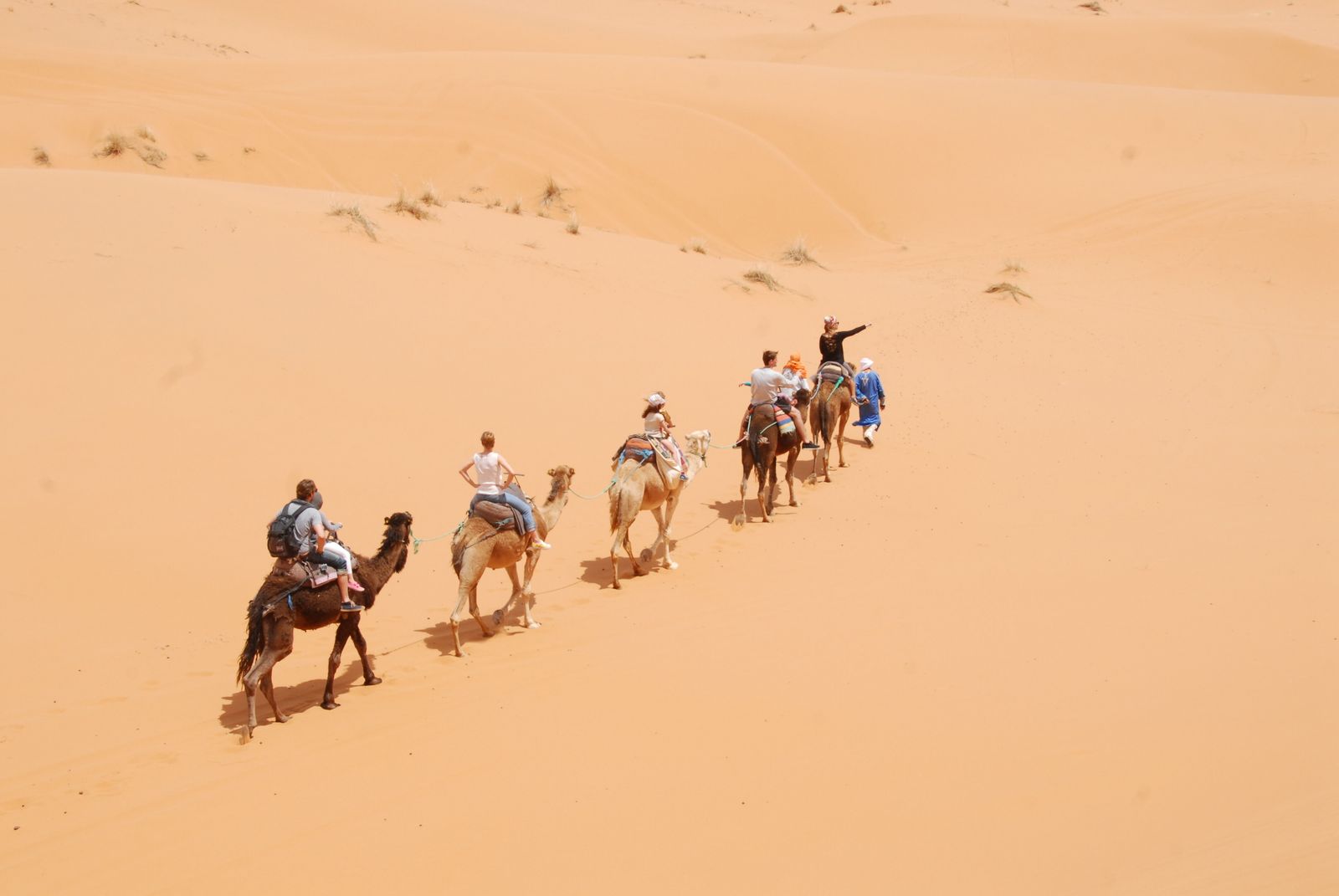 Sunset Camel Trekking in Erg Chebbi