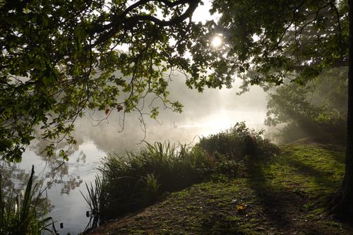 Free Enchanting misty lake view with sunlight filtering through lush green trees. Stock Photo