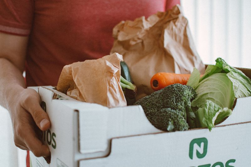 Person holding fresh vegetables