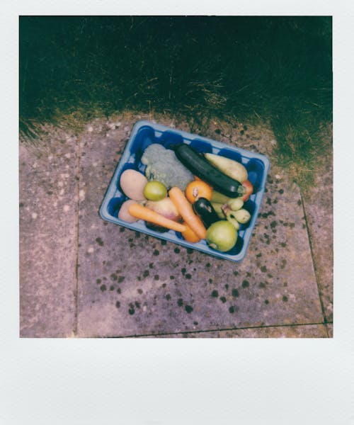 Foto Polaroid Makanan Dalam Wadah Plastik Biru