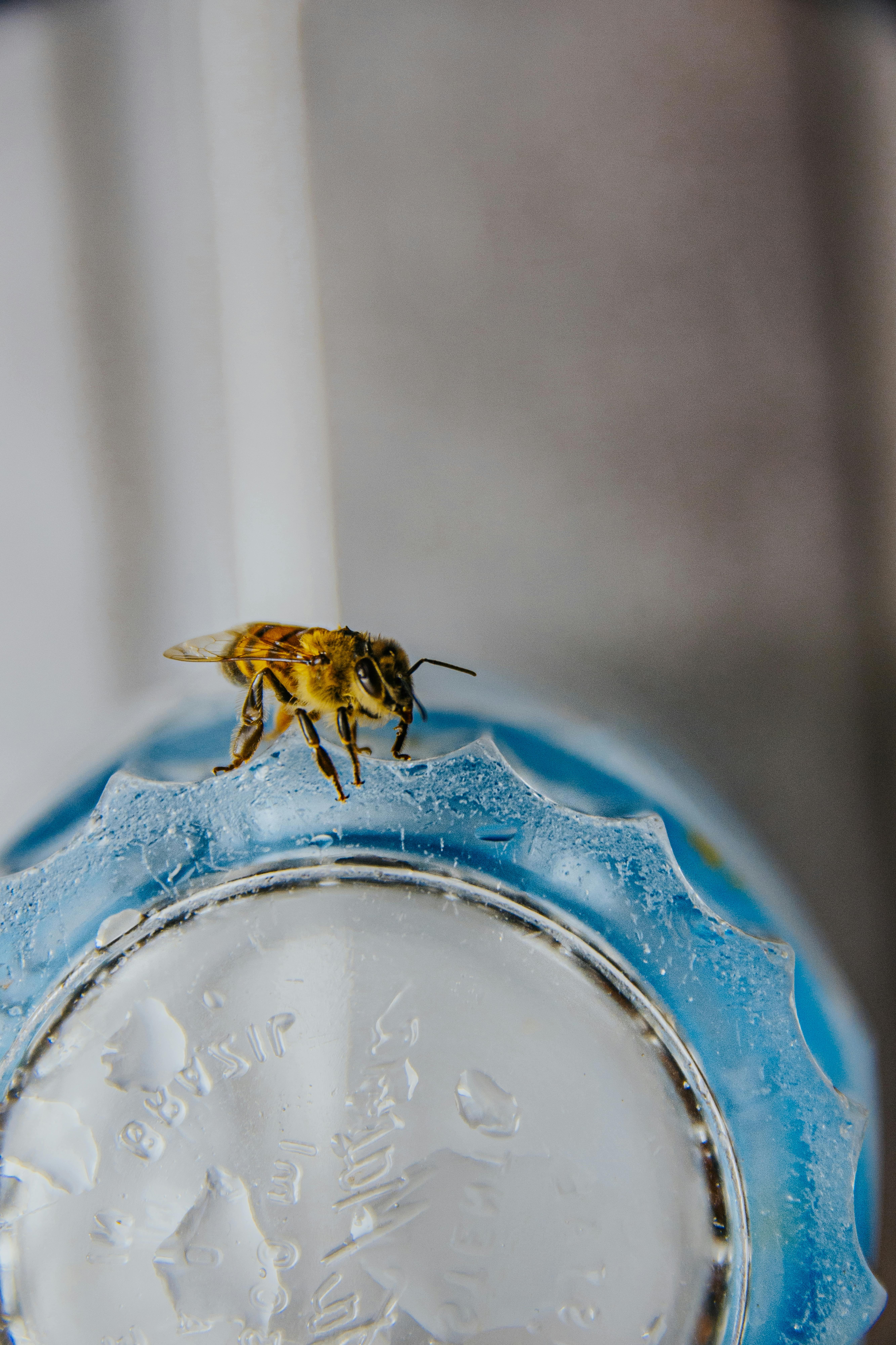 Салон — пример