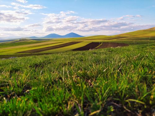 Free Expansive green fields and distant mountains under a bright sky in Kömürlü, Kars, Türkiye. Stock Photo