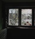 透过窗户，春天欣赏着樱花宁静的景色，捕捉室内大自然的美丽