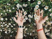 特写镜头捕捉了双手在盛开的洋地黄花中的画面，展现了田野间大自然的美丽